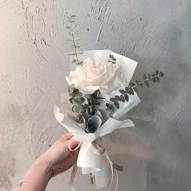 惊艳三月的好句子，做个性签名的最佳选择！