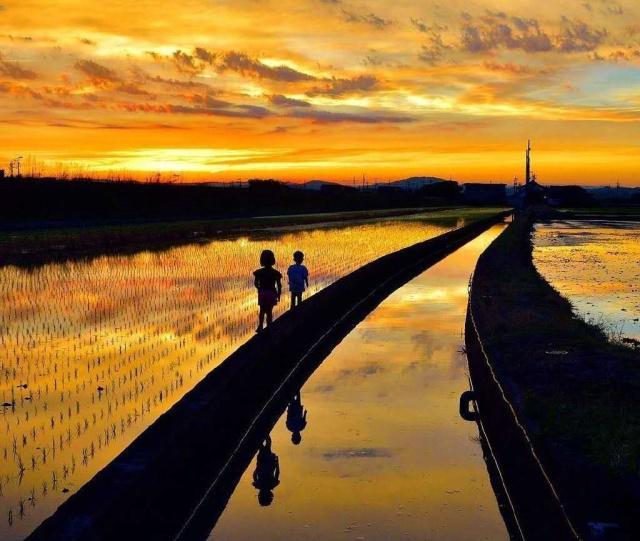 晚安心语句子,经典有品位,让你回味无穷!