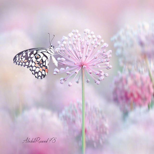 适合早晨发朋友圈的句子，文艺暖心，句句精彩！