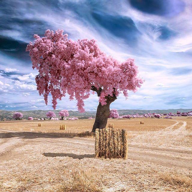 2020微信朋友圈早安心语，唯美走心，气质超群！