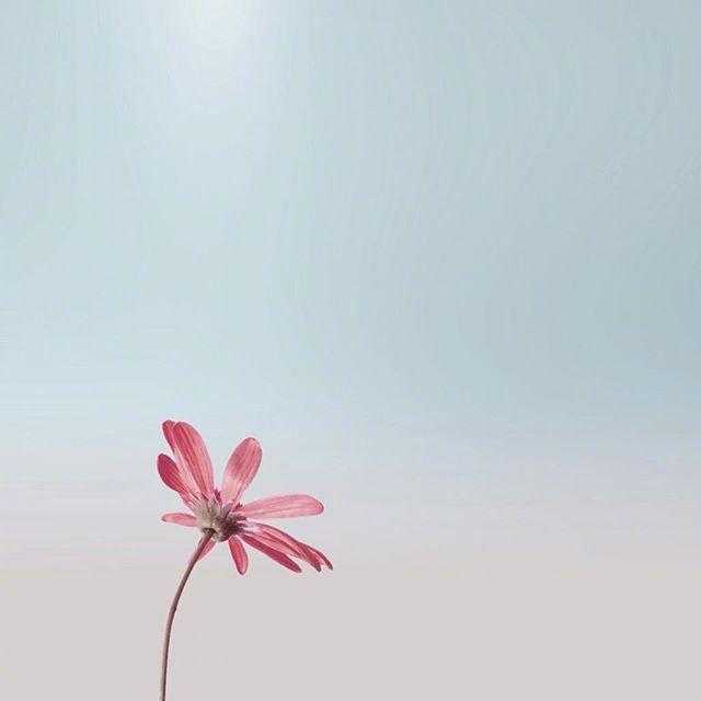 朋友圈点赞超火的句子，精辟极了，建议收藏！