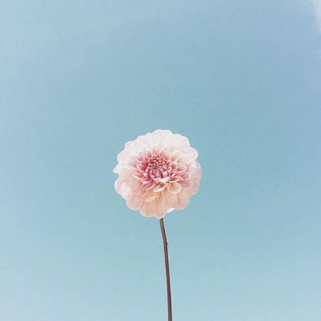 朋友圈点赞超火的句子，精辟极了，建议收藏！