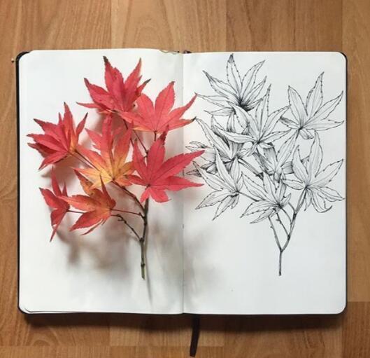 精辟生活感悟短语，经典有深度，一般人写不出来！