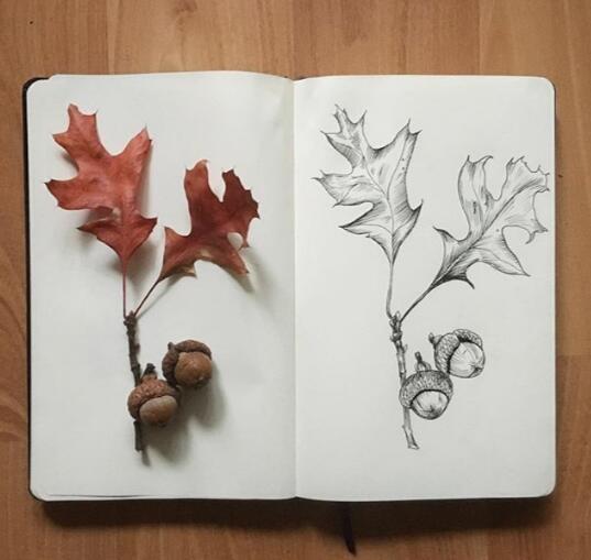 精辟生活感悟短语,经典有深度,一般人写不出来!