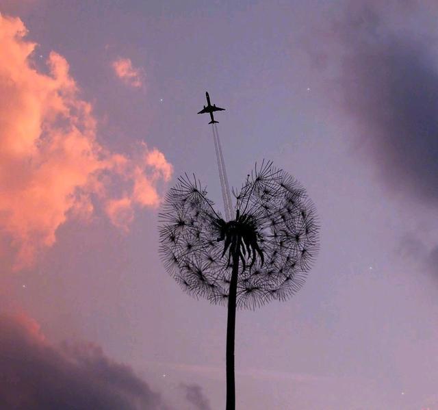 睡不着的说说，悲伤落寞，越看越想哭！