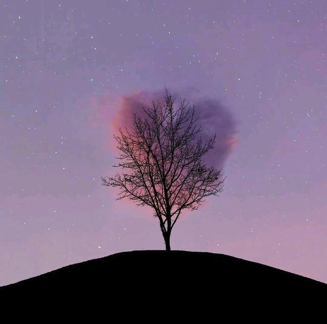 睡不着的说说，悲伤落寞，越看越想哭！