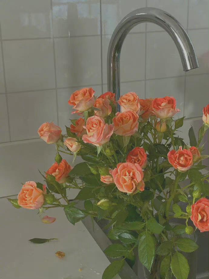 2022ins清爽治愈系背景图很小众却很惊艳