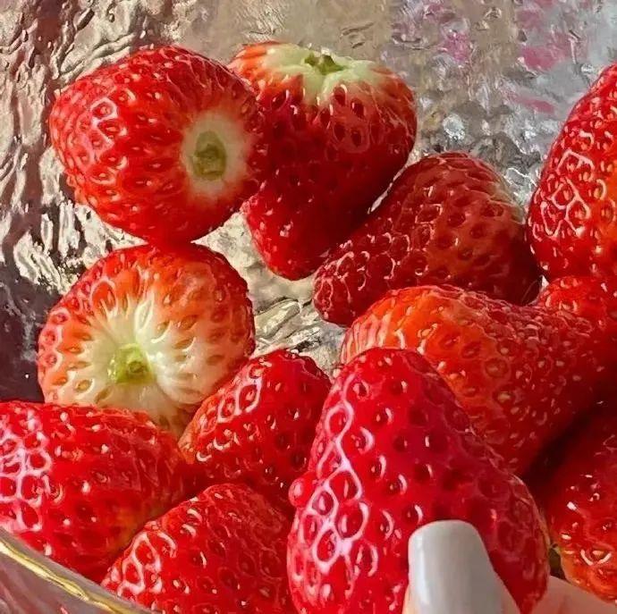 2022ins清爽治愈系背景图很小众却很惊艳