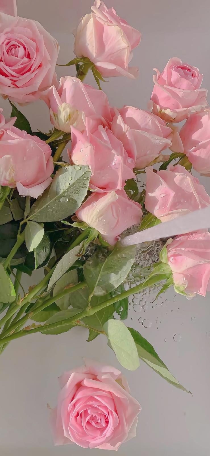 梦幻唯美的粉色花卉主题手机壁纸图片2021