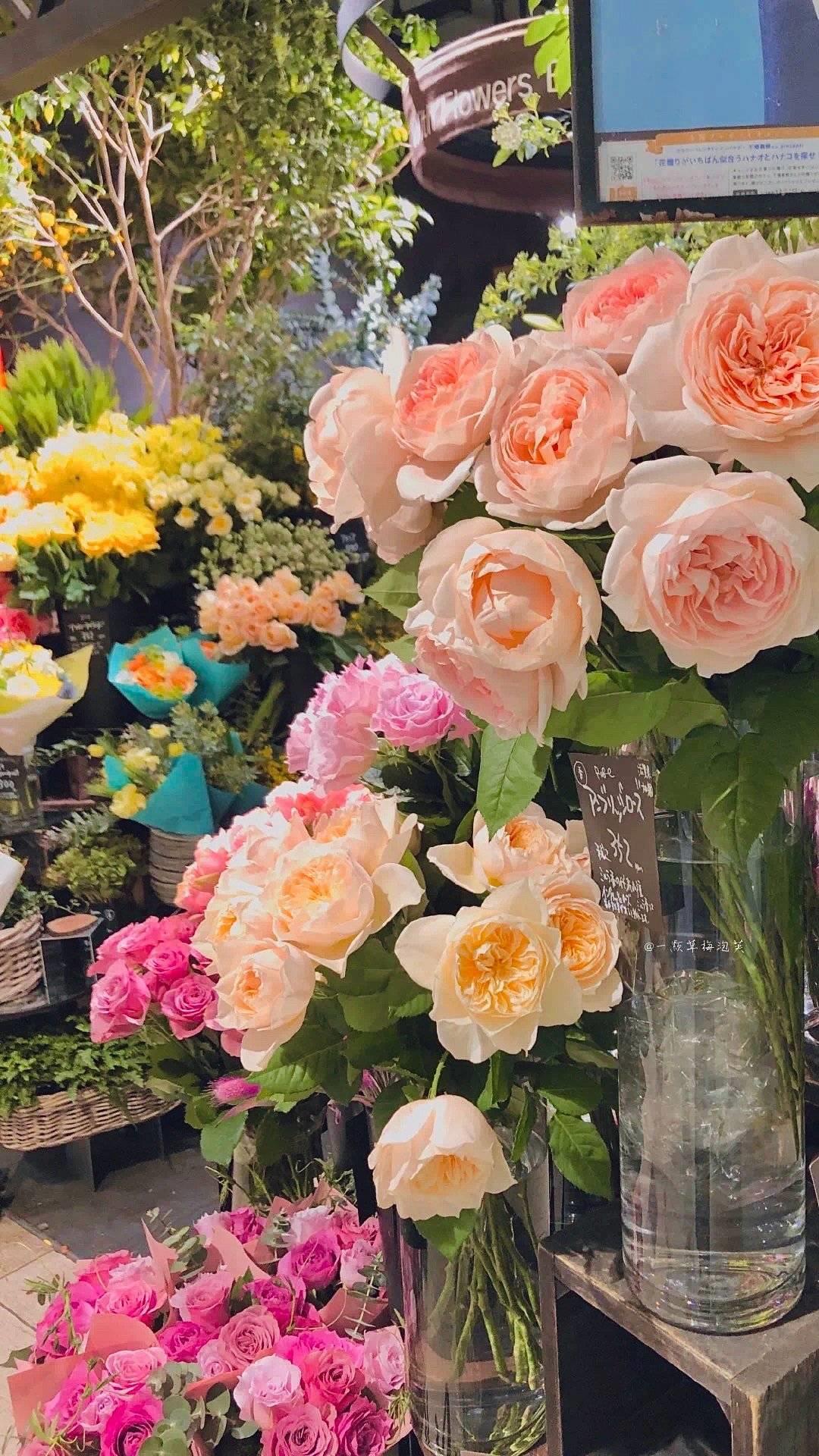 花团锦簇唯美好看的高清花卉手机壁纸图片