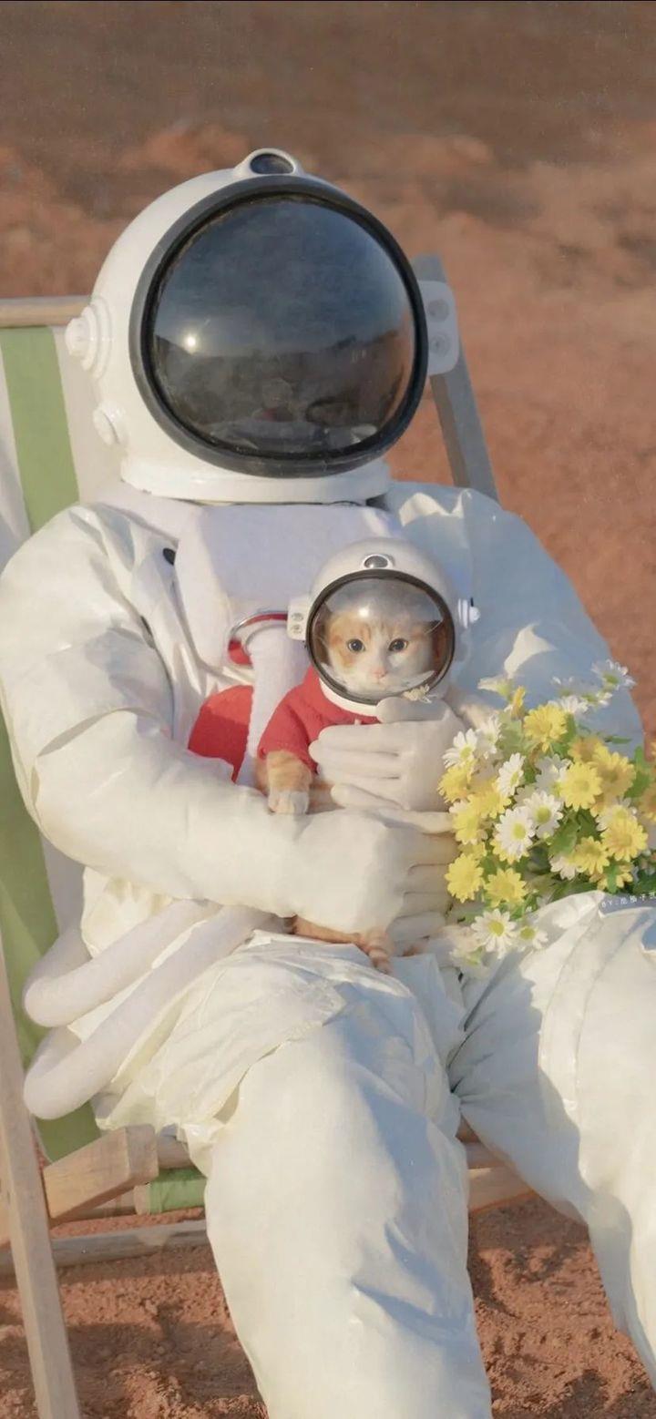 唯美意境手机壁纸图片|宇航员的浪漫从一朵花开始