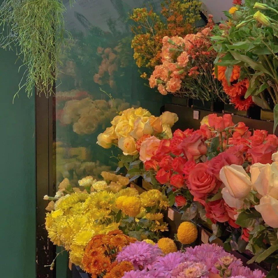 十一月专属唯美意境的花卉朋友圈背景图片壁纸