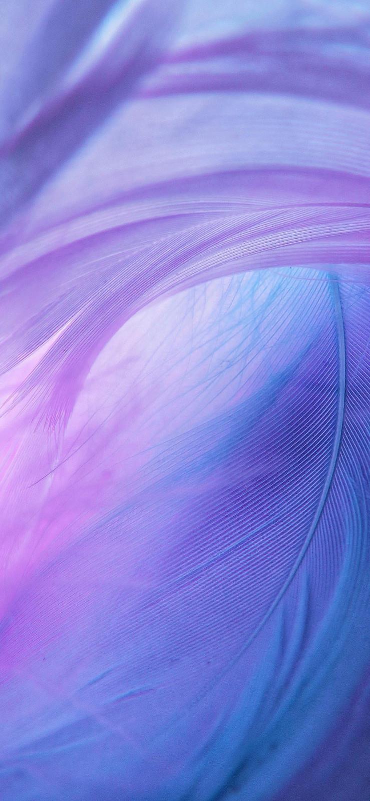 清新简约的紫色系风景手机背景壁纸图片