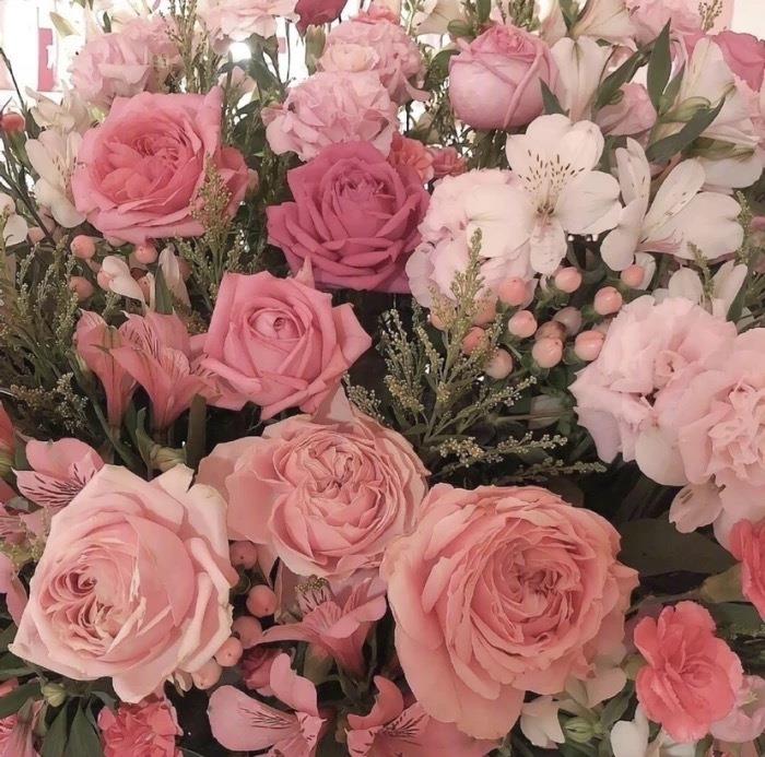 花的图片唯美头像|粉玫瑰的花语是表白