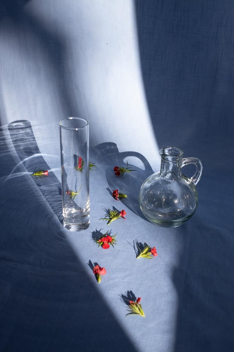唯美艺术|透明玻璃瓶与鲜花的意境图片
