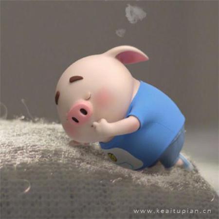 卡通可爱小猪唯美朋友圈壁纸图片