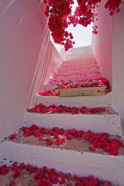 一步步向上的台阶两旁开满鲜花高清浪漫意境图片