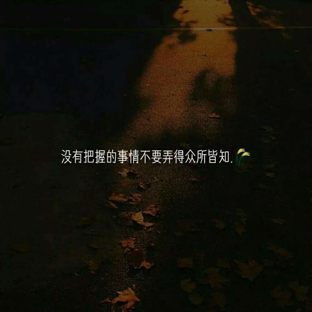 超美夜晚树影写真图片