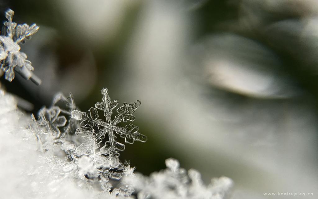 冬天好看唯美的雪花电脑桌面壁纸图片