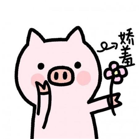 十一月最新卡通可爱小猪猪唯美头像图片
