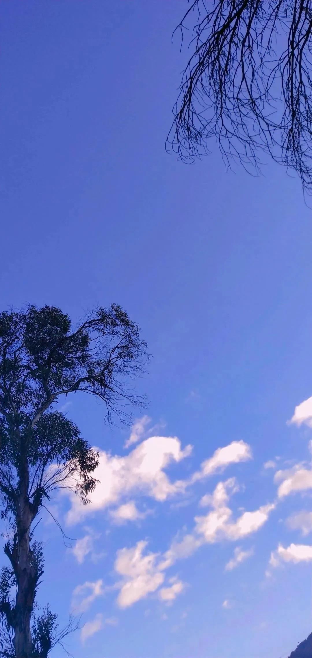 蓝天白云水面波光粼粼唯美风景手机壁纸图片