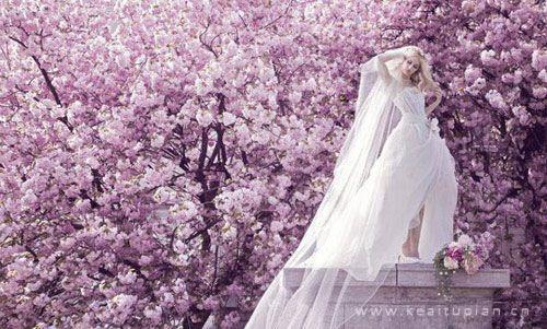 花丛中的白裙新娘唯美造型壁纸写真图片