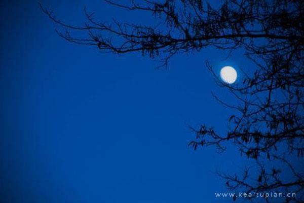 漂亮真实月光夜晚，思念意境头上的月色朦胧让人沉思图片