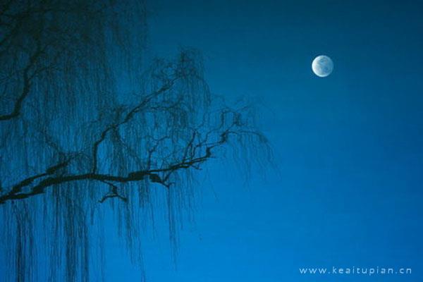 漂亮真实月光夜晚，思念意境头上的月色朦胧让人沉思图片