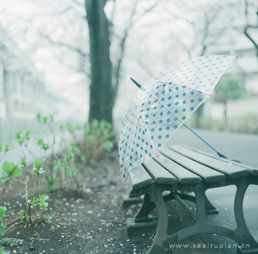 撑伞在雨中漫步的唯美小清新壁纸图片