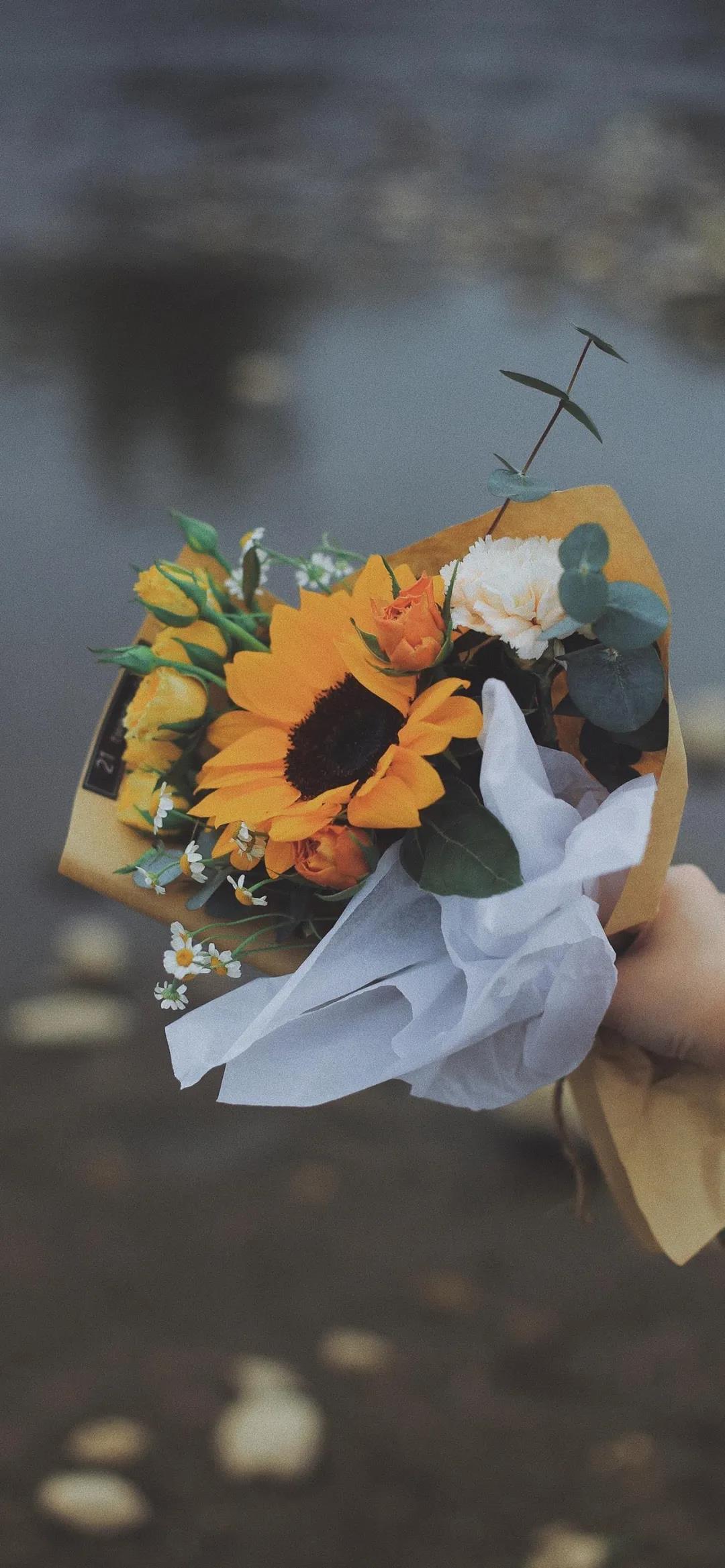 今生卖花来世漂亮 唯美浪漫的花朵手机壁纸图片