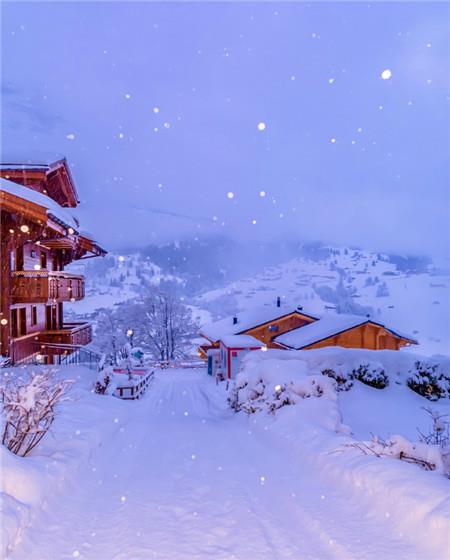 冬季大雪纷飞唯美雪景高清手机壁纸图片