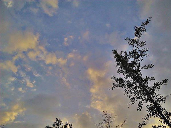 漂亮风吹来云点缀了你的天空图片