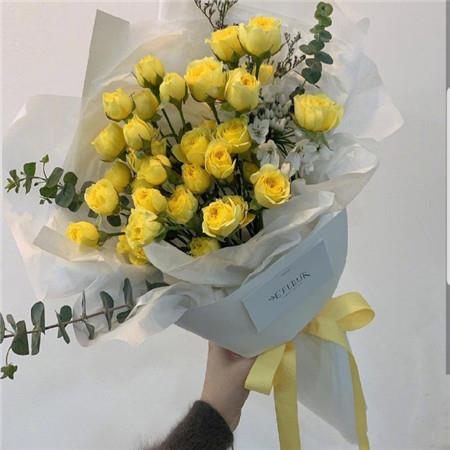 好看唯美的黄色花朵高清手机壁纸图片