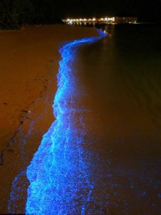 漂亮马尔代夫夜晚海边那么明亮图片