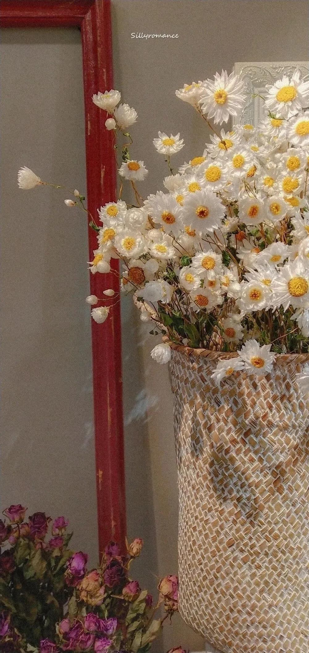 夏日小清新白色花朵唯美手机背景壁纸图片