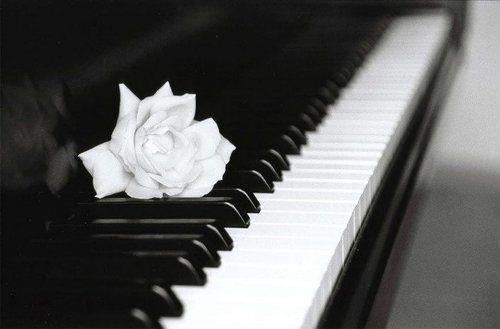 唯美弹起钢琴奏出音乐的那一瞬间你一定不知道你就是最美的天使图片