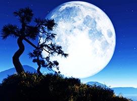 唯美异地他乡中秋节赏月亮看完想家的图片