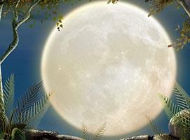 唯美异地他乡中秋节赏月亮看完想家的图片