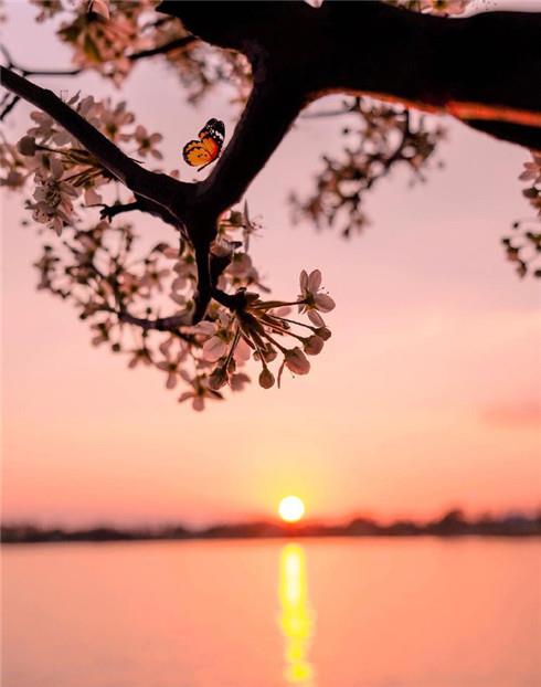 唯美的湖边日落黄昏壁纸图片