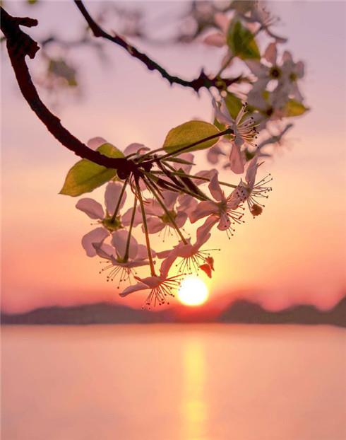 唯美的湖边日落黄昏壁纸图片