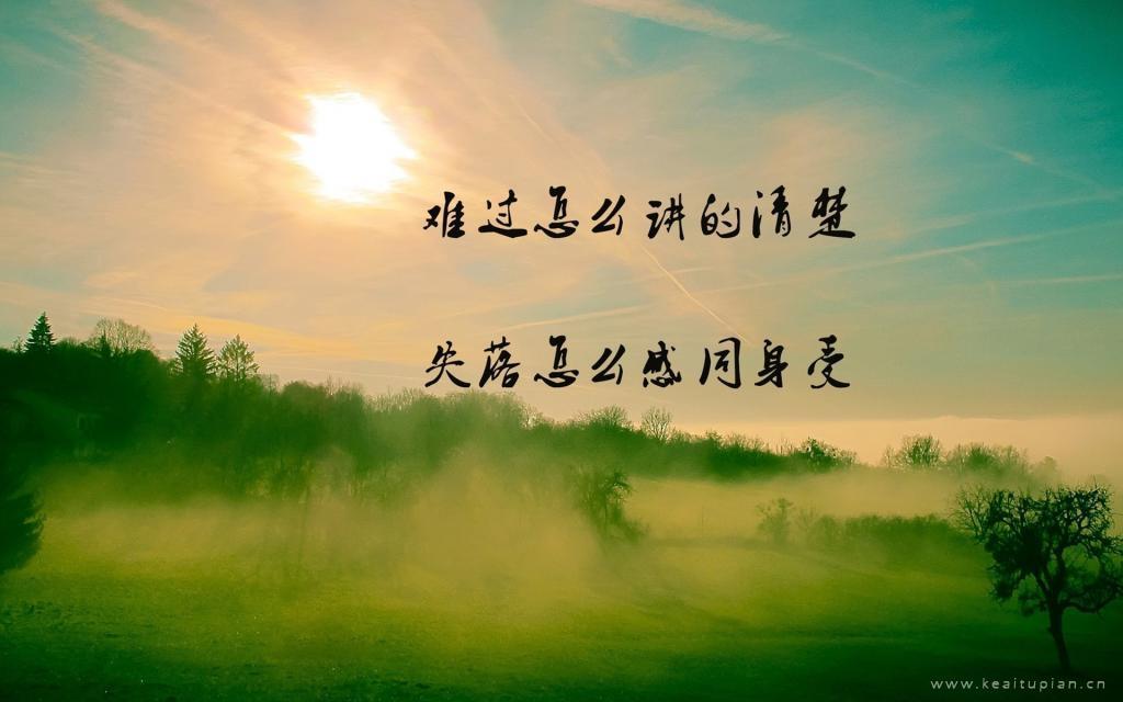 一个人的伤感,你怎能体会图片