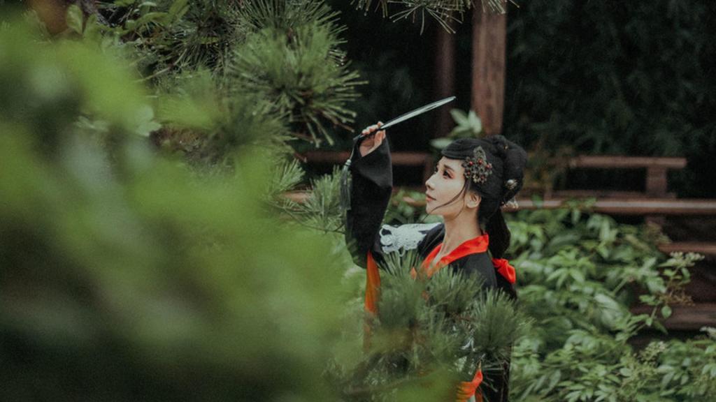 海棠经雨 图片