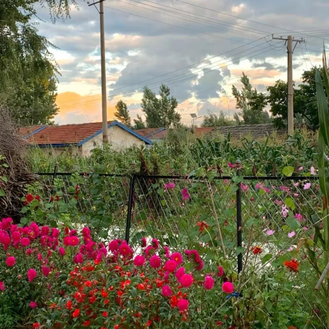 句子很短却字字入心