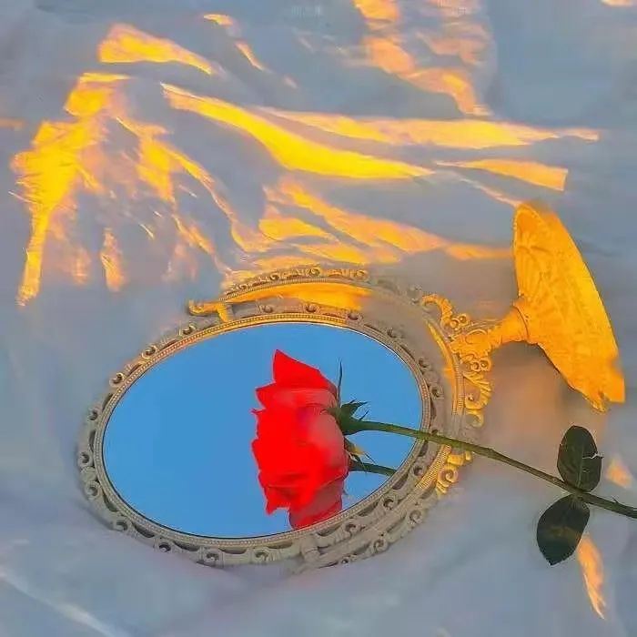 今日推荐｜看似小众又惊艳的文案