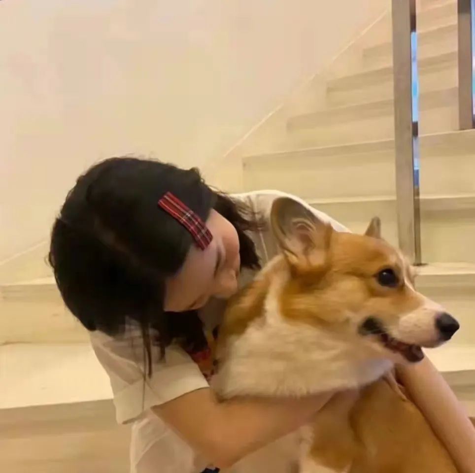 今日推荐｜看似小众又惊艳的文案