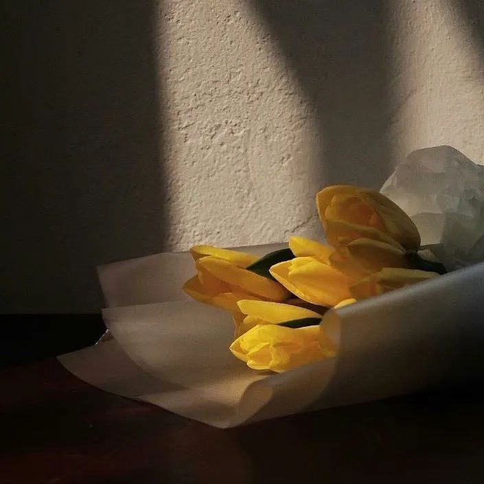 这些文案，够精辟，我喜欢！