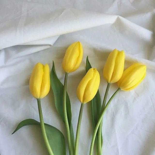 文案｜积极热爱生活的文案