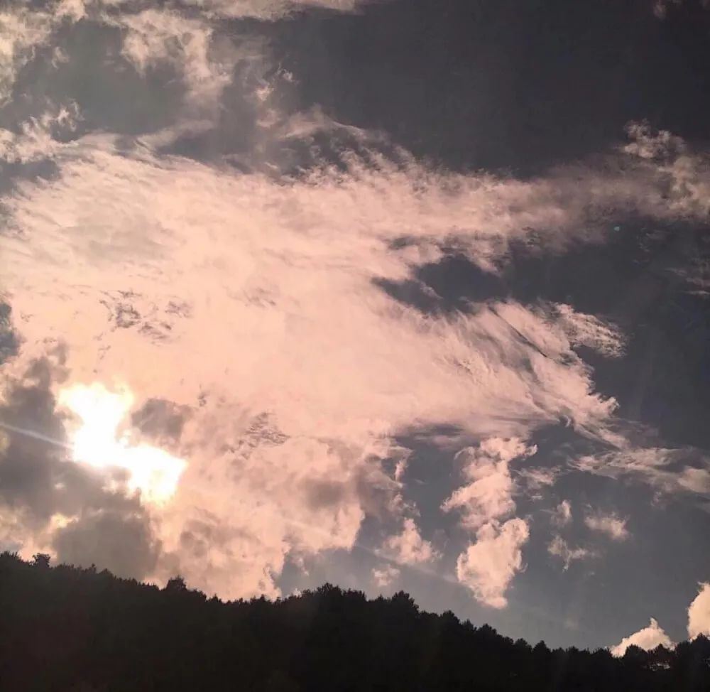 适合爱而不得的人使用的高级小众文案