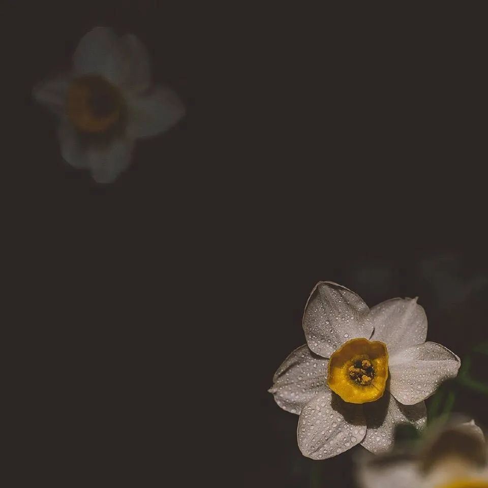 “一些酷酷的文案”码住啦