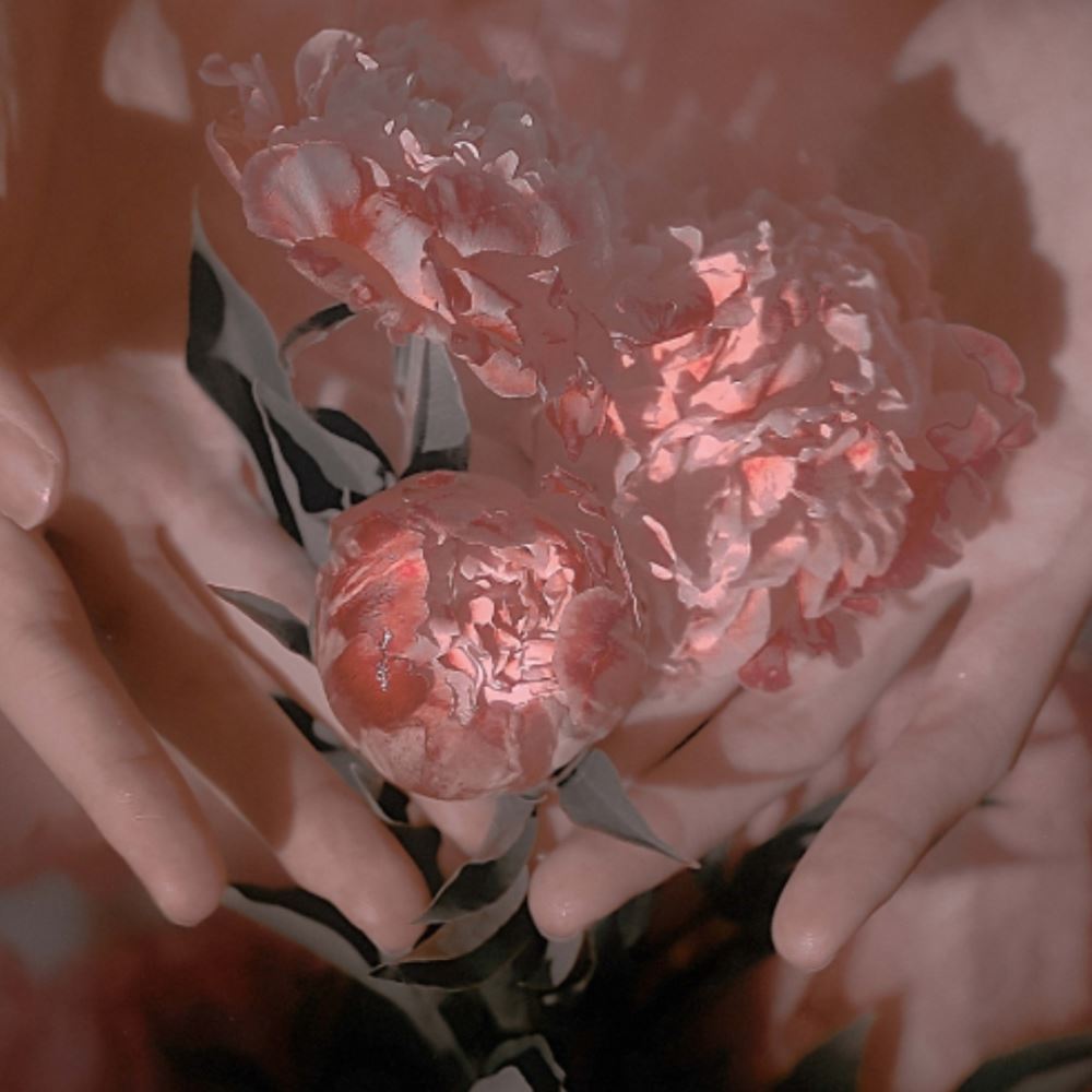 又飒又酷的三八女神节文案，女神节高逼格走心文案！